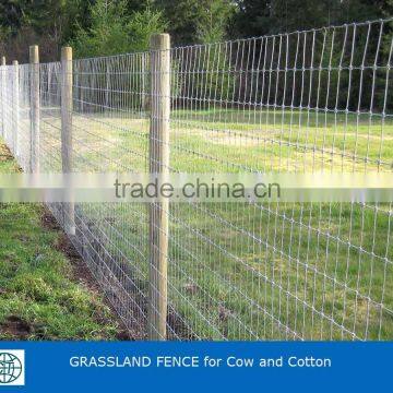 Hot Dipped Galvanized Field Fence photo-6