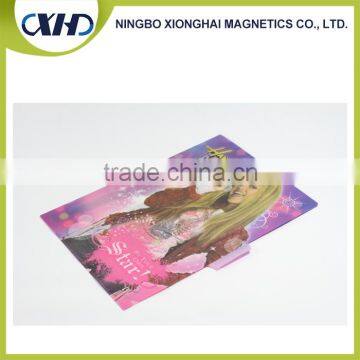 Gold supplier china a4 plastic document folder holder