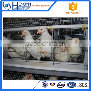 Poultry chicken farm building house and chicken layer cage