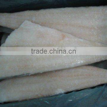 frozen pacific and atlantic cod fish fillet