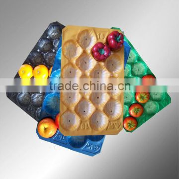 Manufacturing Fruit Plastic Cup Holder Tray