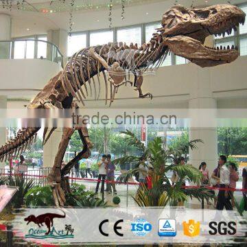 Dinosaur manufacture life size dinosaur bones for sale