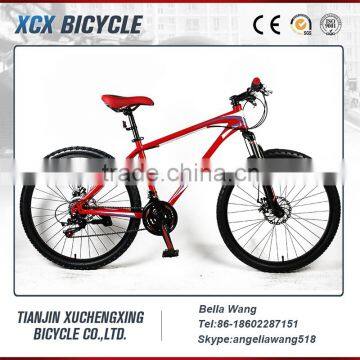 Chinese Mountain Bike/Mountain