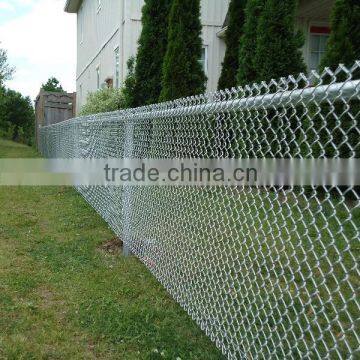 Galvanized chain link fence