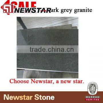 Most Hot Stone G654 Dark Grey Granite Slab photo-2