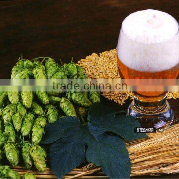 Hot sale beer brewing brewery equipment