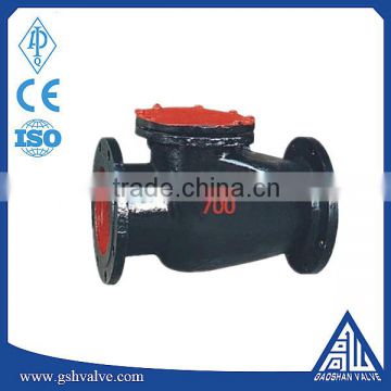 Cast iron non return swing check valve