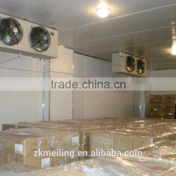 -70 to -80C Cold Storage Room photo-5