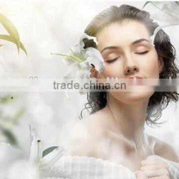 Wrinkle Removal Co2 Fractional Laser Vaginal Tightening Equipment Spot Scar Pigment Removal