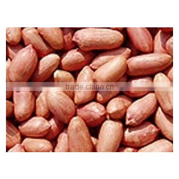 Peanuts Exporters