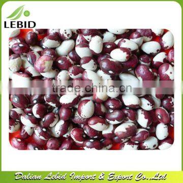 Panda Eyes Kidney Beans 2014 Crop