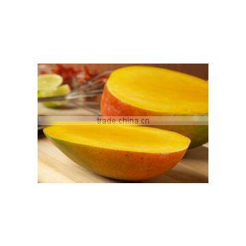 Chaunsa Mango
