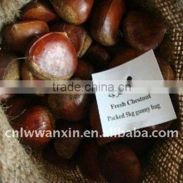 fresh chestnut 5kg gunny bag