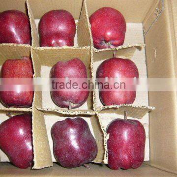 chinese apple