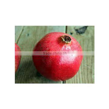 FRESH SWEET POMEGRANTE