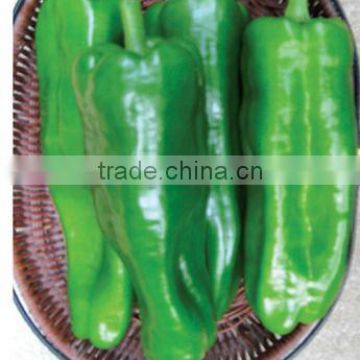 Hybrid Green Horn pepper chili seeds for growing-PS018