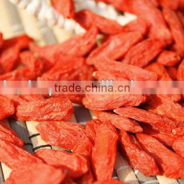 HOT SALE Top Quality Sun Dried Goji Berries Goji Berry--BNP