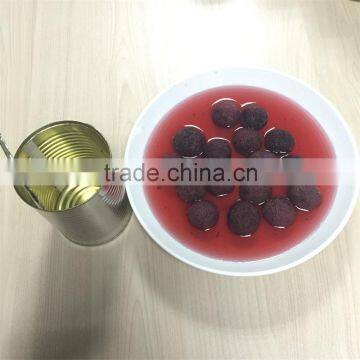 High Quality Canned Red Bayberry Fruit Juice for canned fruit salad