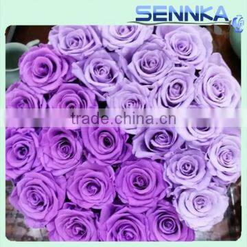 Wholesale Best Selling Fresh Preserved Rose Flower Fresh Flower