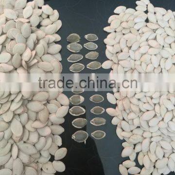White Pumpkin Seeds in Shell photo-2