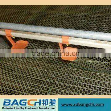 Complete Automatic Chicken Raising Equipment for Farm