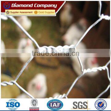 22# x 3/4''Galvanized Hexagonal Wire Mesh poultry chicken wire for coop