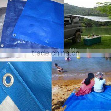 PE TARPS for industry cover