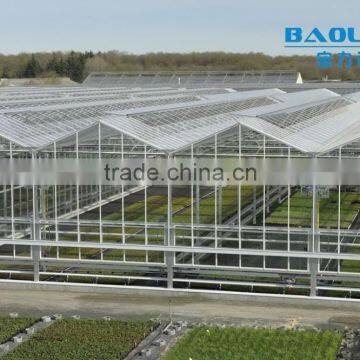 BaoLiDa Zigzag Large Ventilation Low Cost Polycarbonate Greenhouse