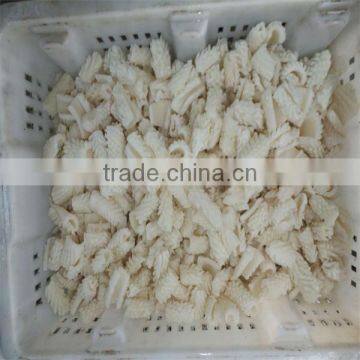 high quality frozen cooked iqf peru squid