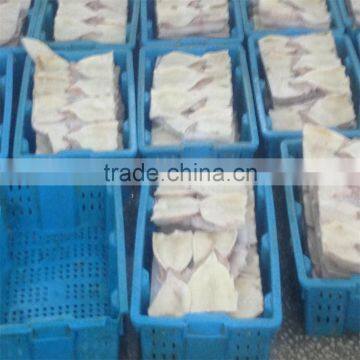 Frozen Squid Tube photo-4