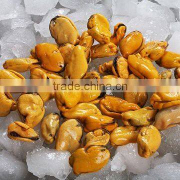 frozen cooked mussel meat