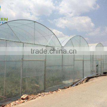 Hot Sale Commericial Strawberry Greenhouse With Hydroponic System photo-2