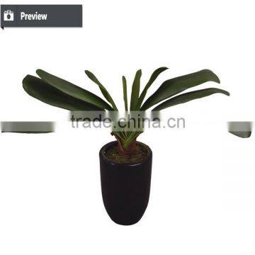 Factory Direct Sell Artificial Decorative Indoor and Outdoor Plant Tree With Pot for Decoration Use photo-3