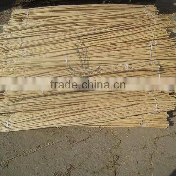 Natural Willow Branch Stick photo-3