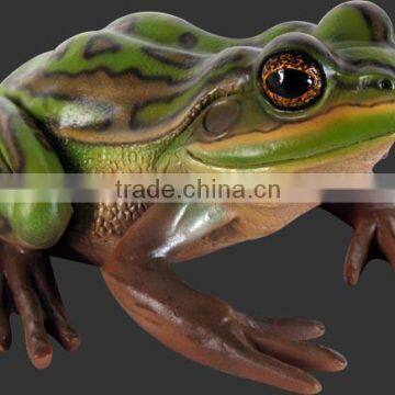 Green and Golden Bell Frog