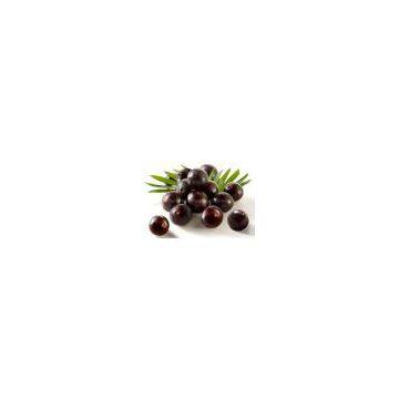 Acai berry Extract-Anthocyanin & Polyphenols