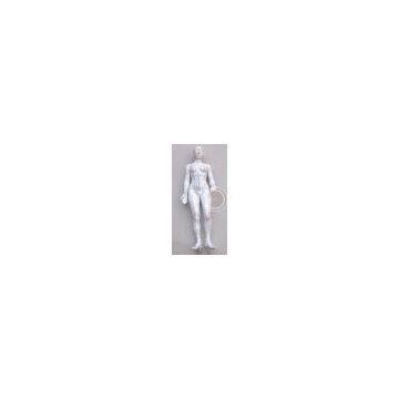 48 cm PVC Acupuncture Model Female Acupuncture Model for Full Body Male for Acupuncture Point Study photo-3