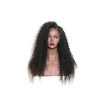 No Shedding Fade Curly Human 18 Inches Hair Wigs Brown 14 Inch Thick