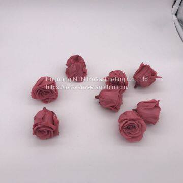 Top Quality Long Lasting Roses Real Preserved Roses Wholesale From Kunming Yunnan photo-5