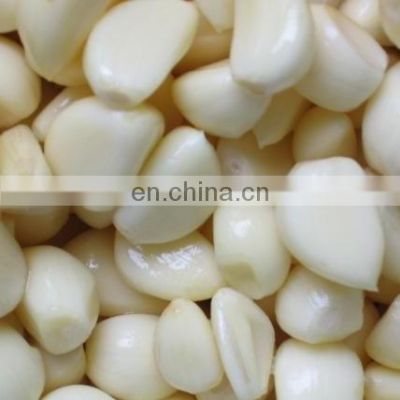 Chinese fresh frozen garlic with reliable price