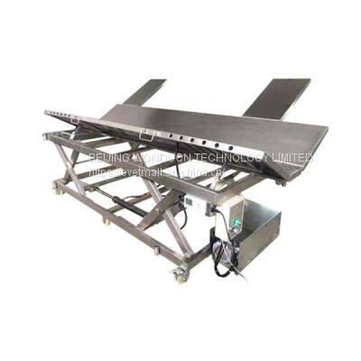 WMV620D Equine Operating Table