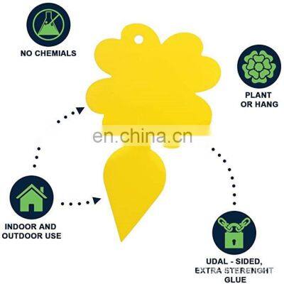 Sticky Fruit Fly And Gnat Trap Yellow Sticky Bug Traps For Indoor