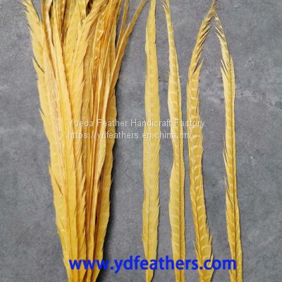 Lady Amhurst Pheasant Tail Feather Dyed Yellow for Wholesale From China