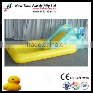 swimming pool with slide