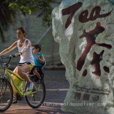 Modern Calligraphy Art Stone Carving Decoration Design and Application photo-5