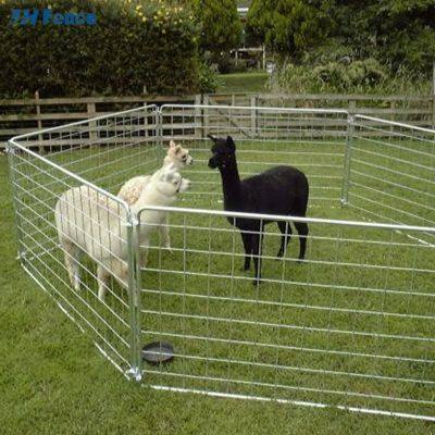 Dairy Stall Feeding System Cow Headlocks Self Locking Front Cattle Fence Panels Cattle Yard photo-5