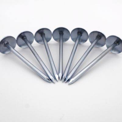 Custom Logo Printed Umbrella Head Corrugated Nails - 2inch & 2.5inch Sizes, OEM Production Supported