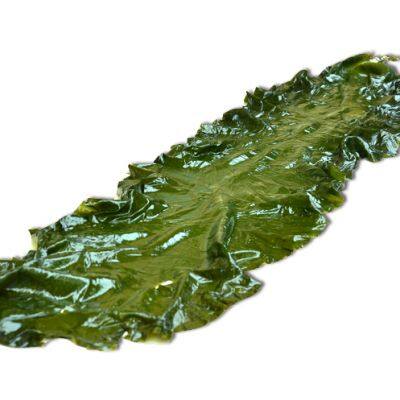 Máquina de lavar algas marinhas/Máquina de limpeza de alga marrom mais vendida/Máquina de limpeza de algas marinhas