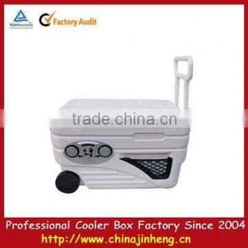 Outdoor mobile cooler box