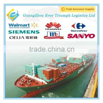 Ocean Freight Shipping from Guangzhou/Shenzhen/Shanghai China to Europe (DDU DDP Shipping)